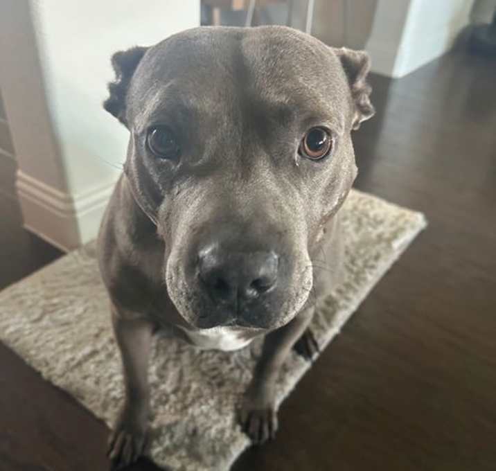 Photo of Luka III (New Digs)