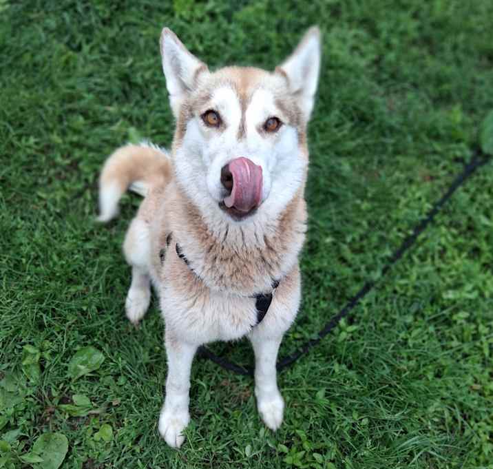 Photo of Artemis