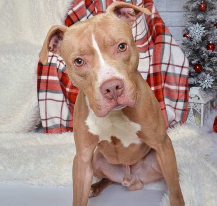 Photo of Murphy