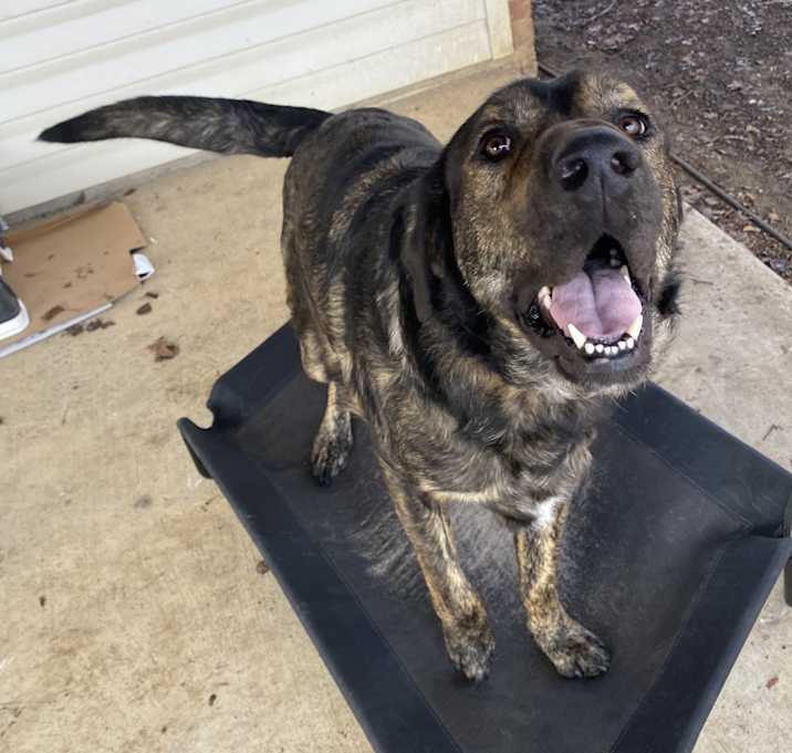 Photo of Max