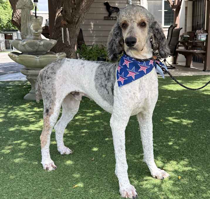 Photo of Cash