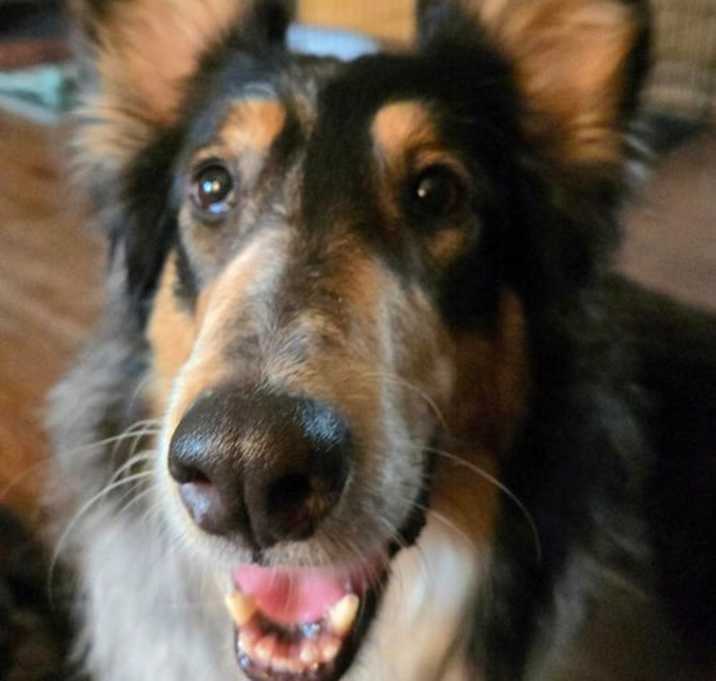 Photo of Charlee