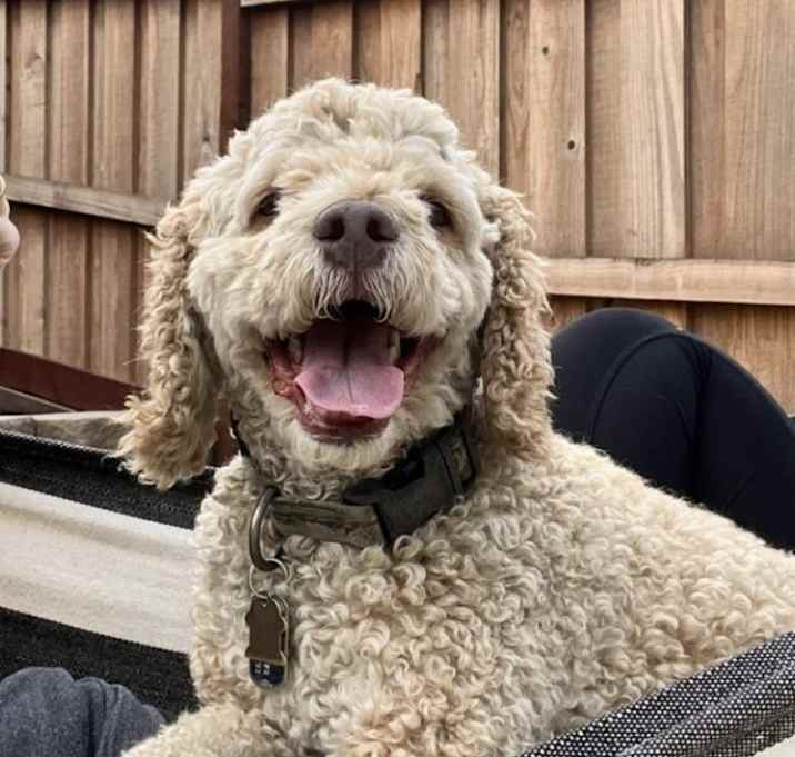 Photo of Walter