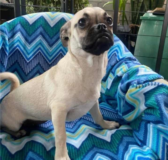 Photo of MOLLY