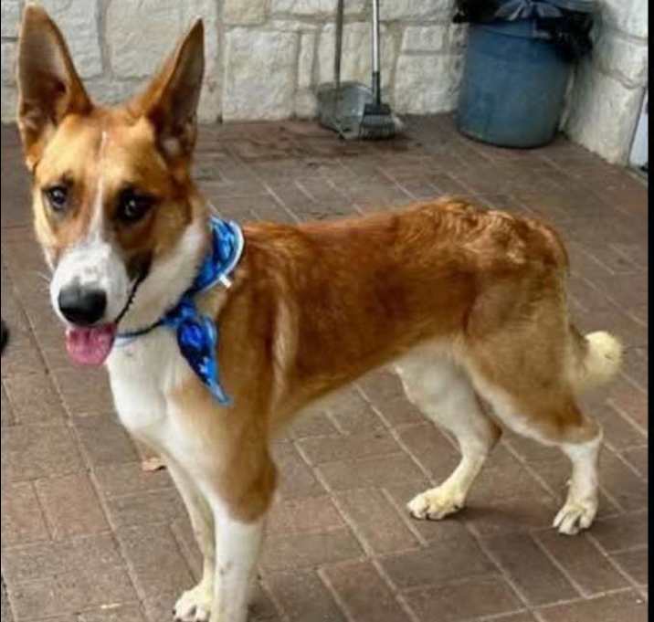Photo of COOPER
