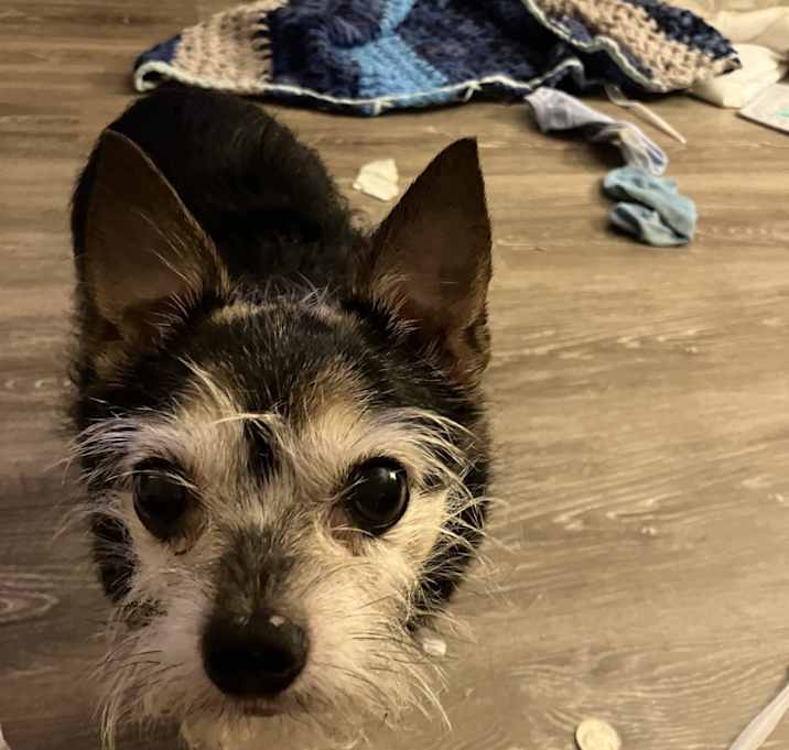 Photo of Lexi