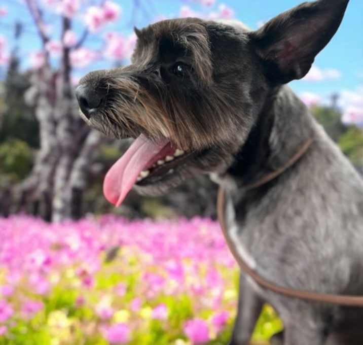 Photo of Sebastian