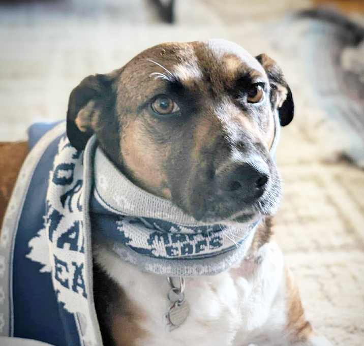 Photo of WANDA