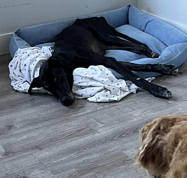 Photo of shadow
