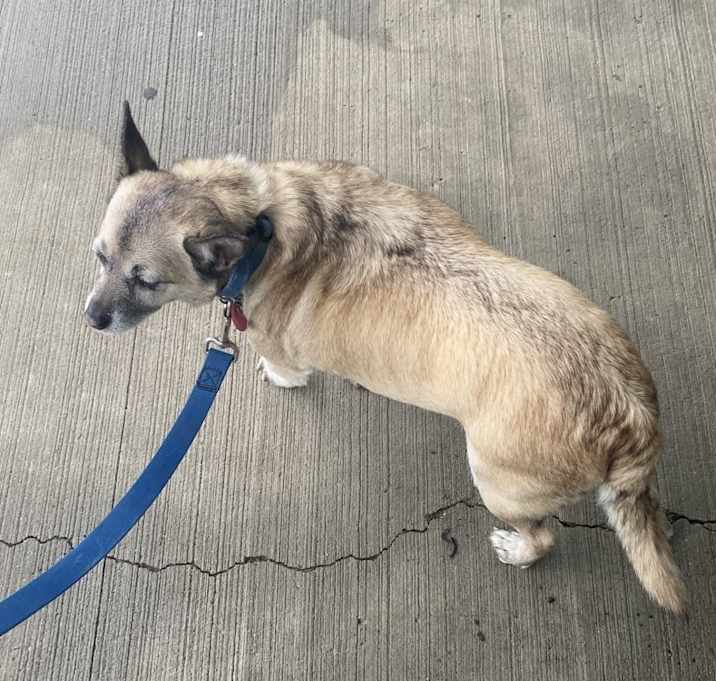 Photo of Max