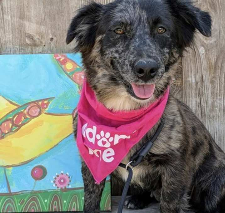 Photo of Marbles