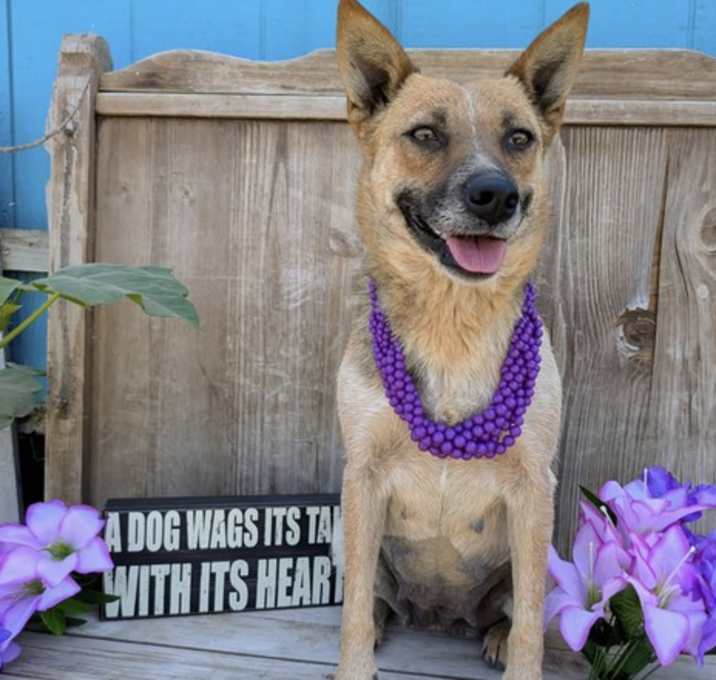 Photo of Trinket