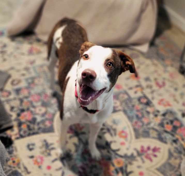 Photo of Sassy