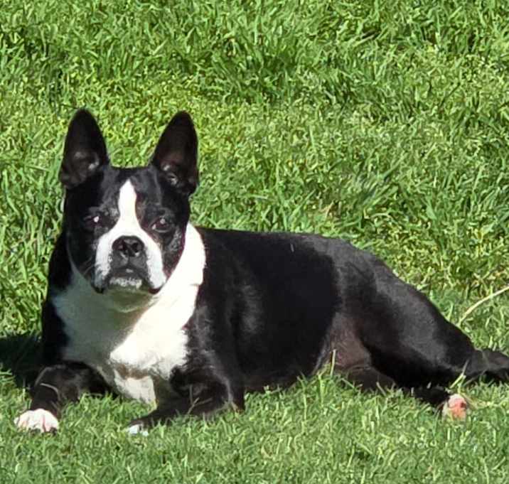 Photo of Stella Mae