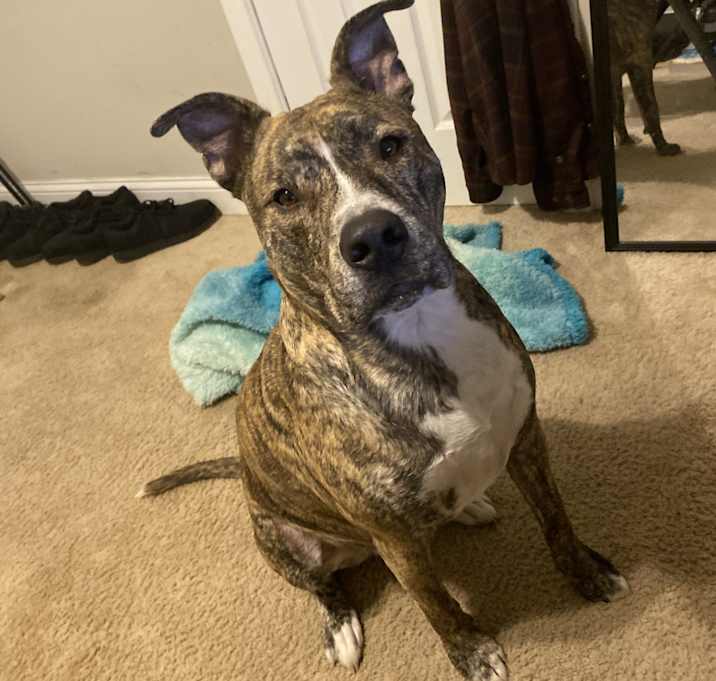 Photo of Cass