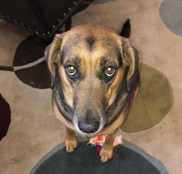 Photo of Lucy