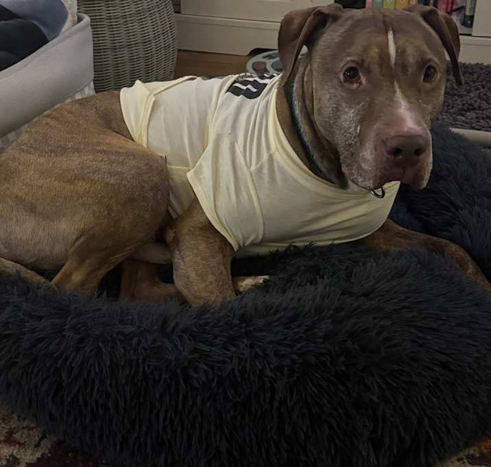 Photo of Charlie