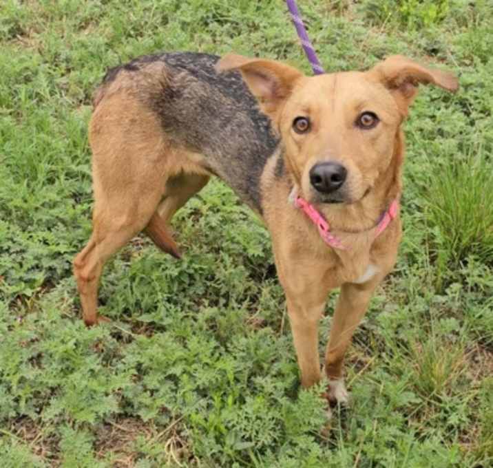 Photo of Zoe K71 4/7/25