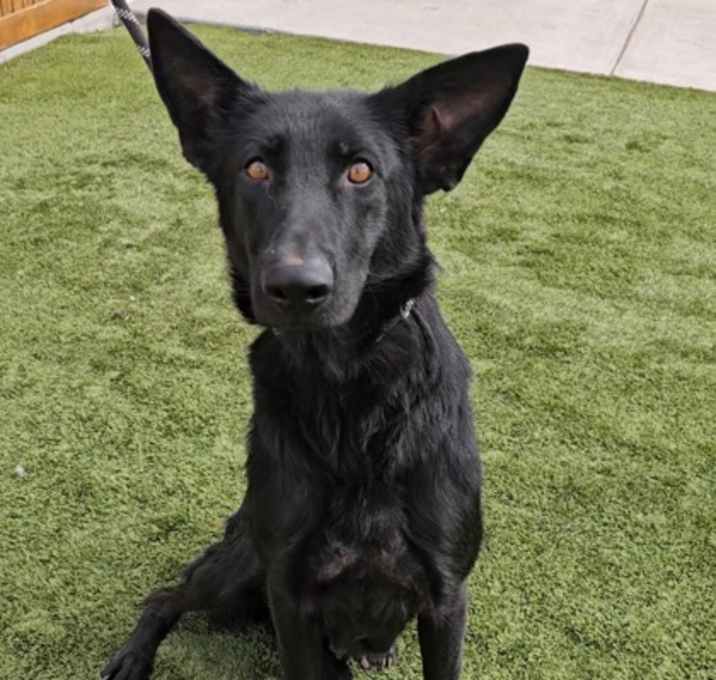Photo of Sophie K5 5/1/25