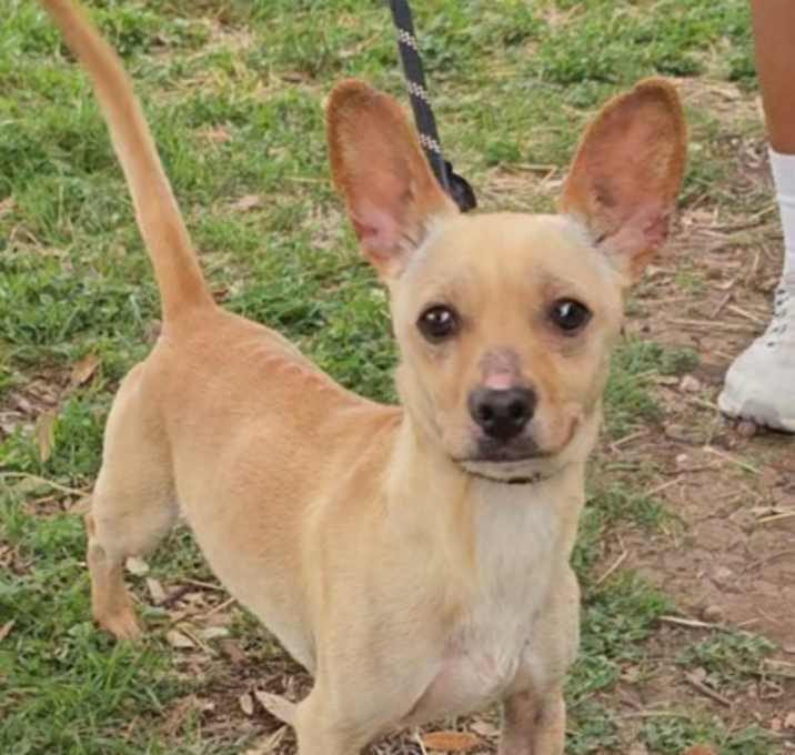 Photo of Sammy K90 4/24/25