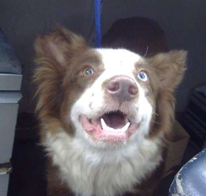 Photo of MITZIE