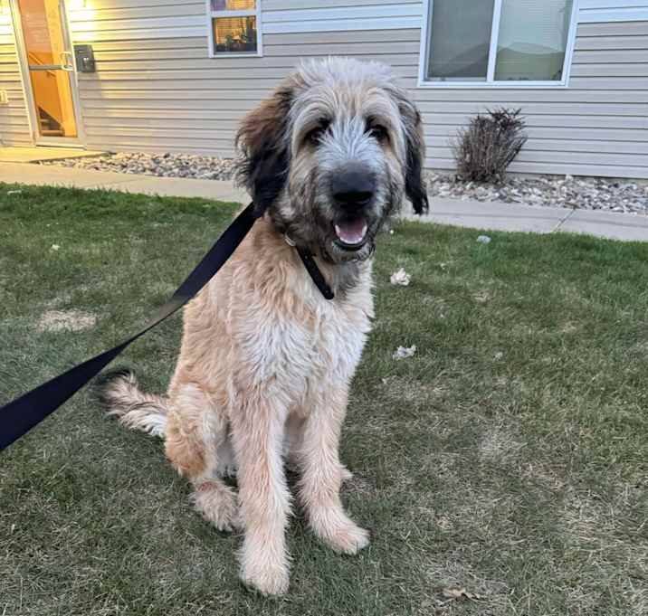 Photo of Dook