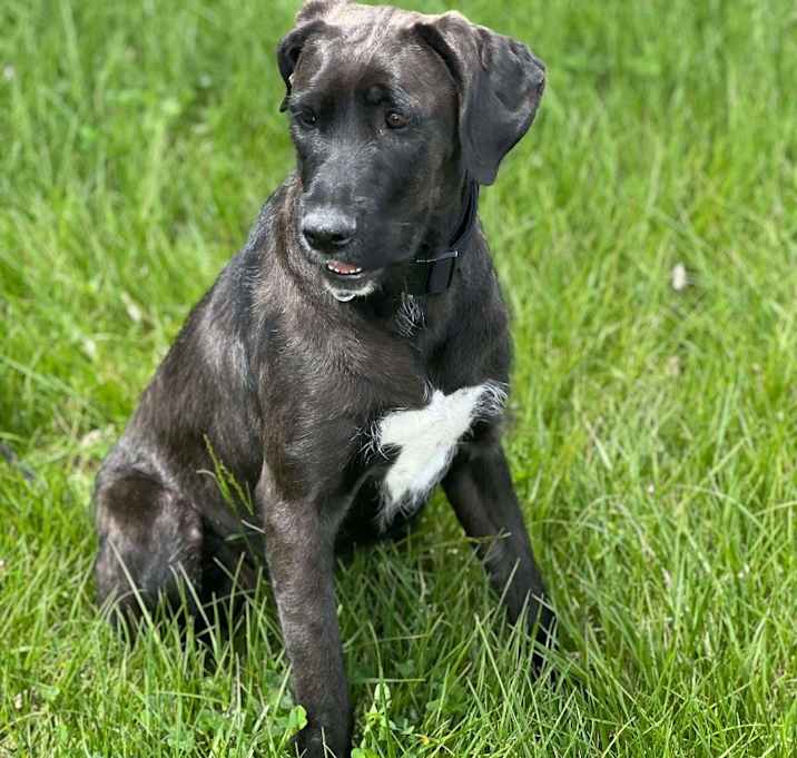 Photo of Ava Luna