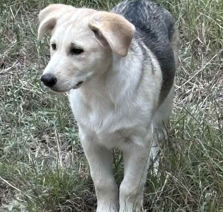 Photo of Charlie