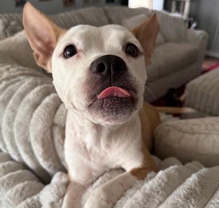 Photo of Maggie