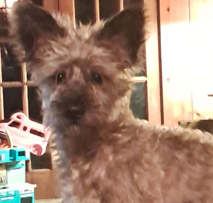Photo of Gucci