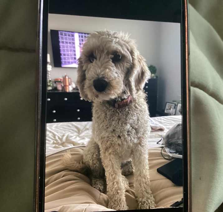 Photo of Zoe