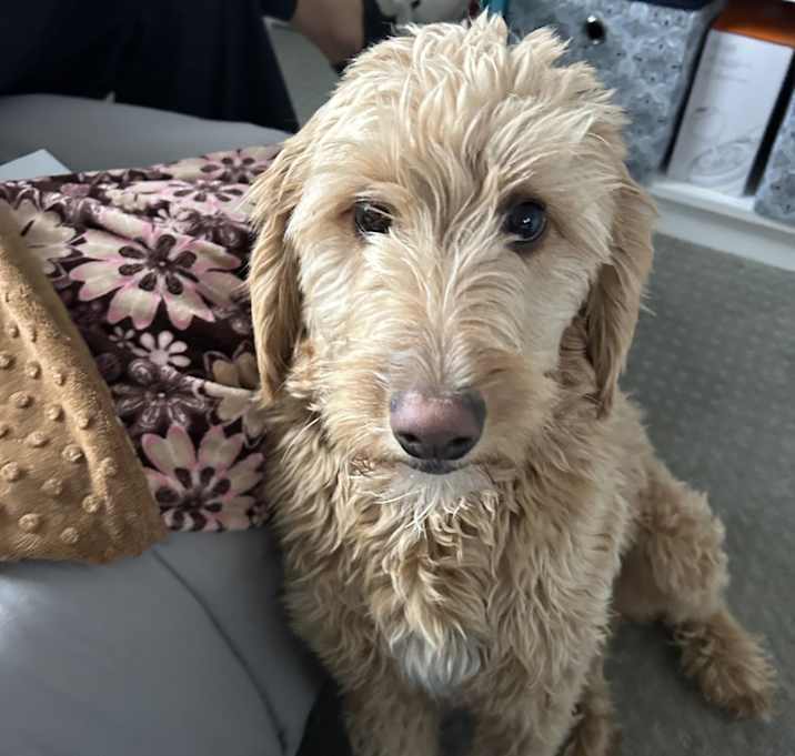 Photo of Charlie