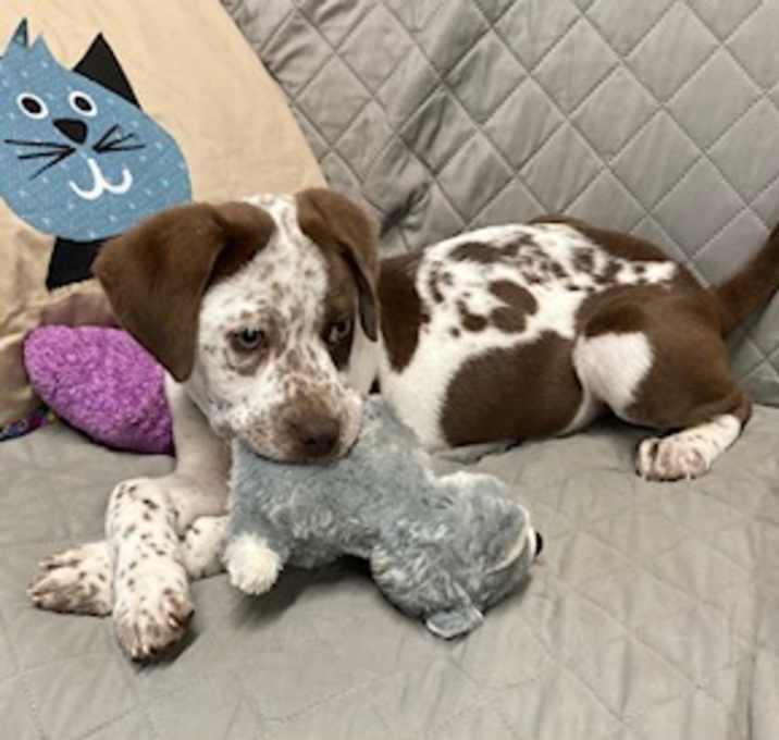 Photo of Buster Brown