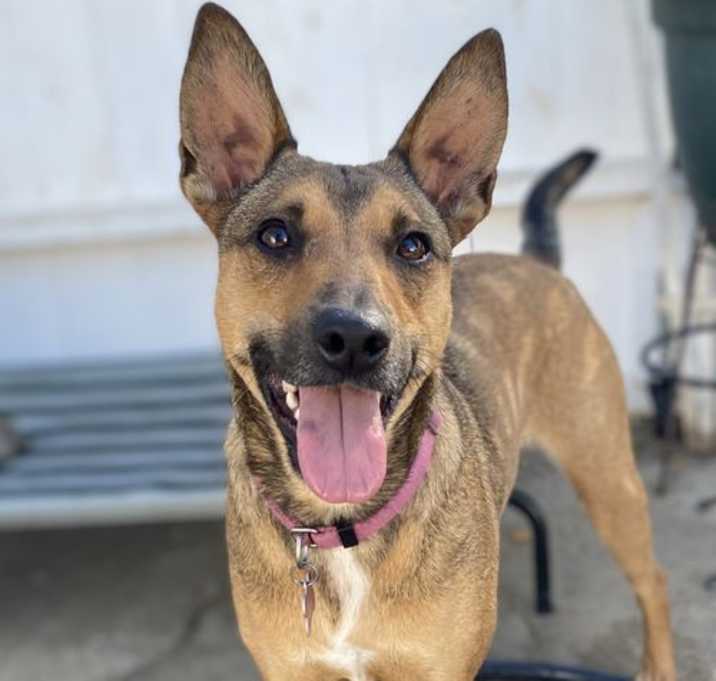 Photo of Athena