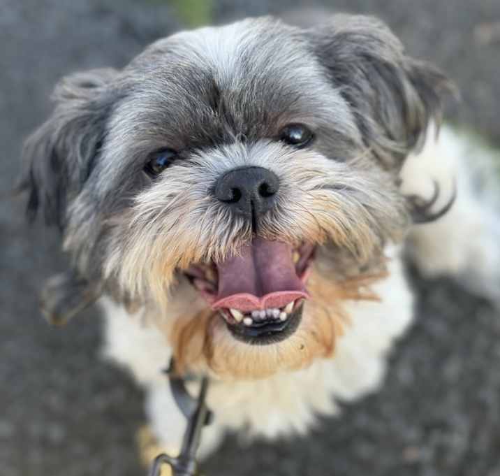 Photo of Sophie