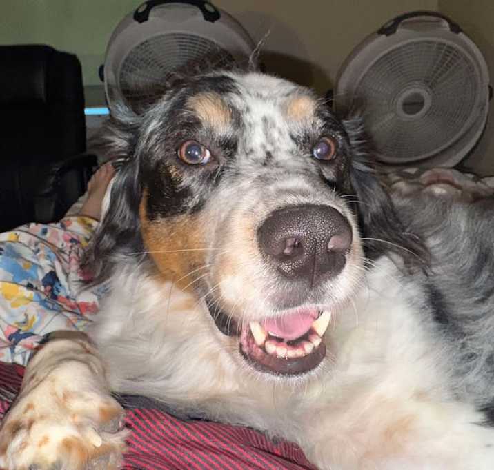 Photo of MAYCE (Kansas Only)