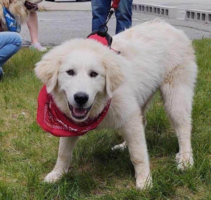 Photo of Sneezy