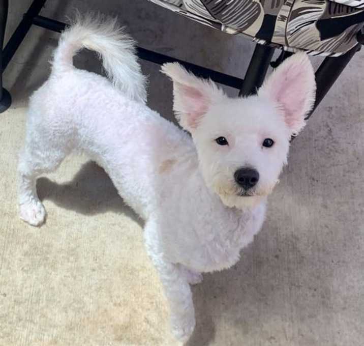 Photo of IZZY