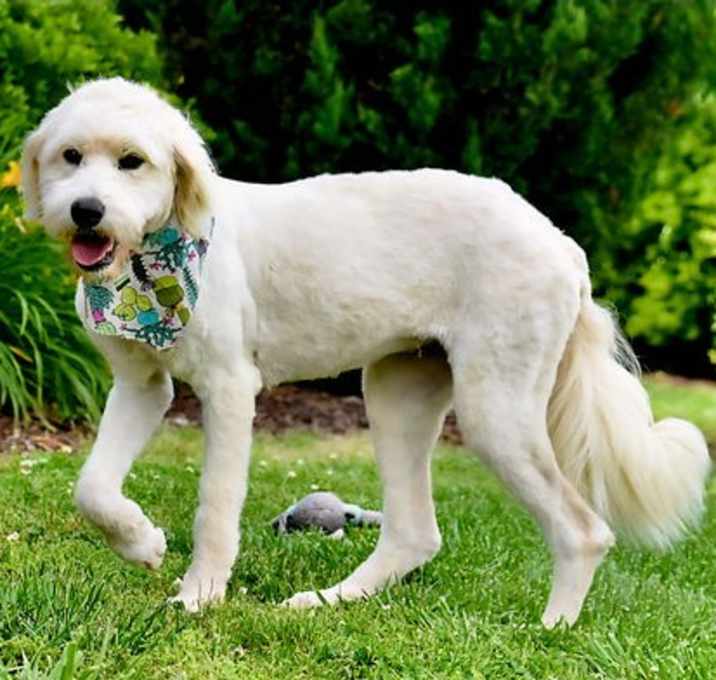 Photo of MITZI
