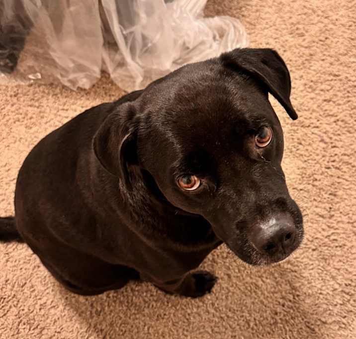 Photo of Talos