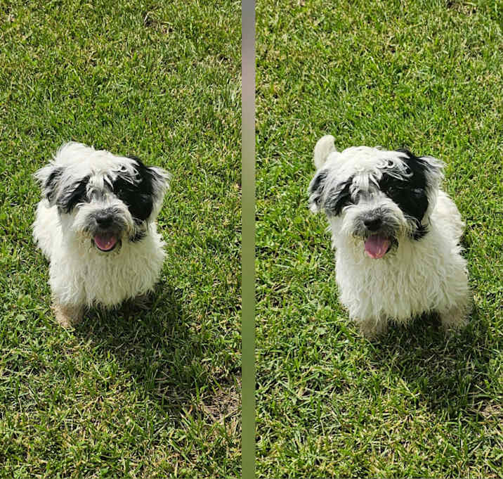 Photo of Buffy