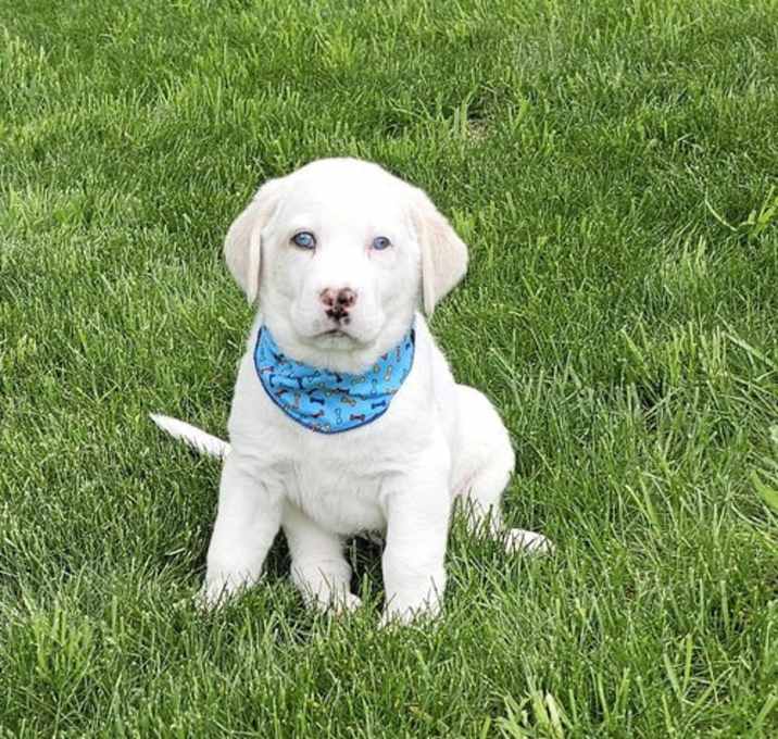 Photo of Tex available 6/4