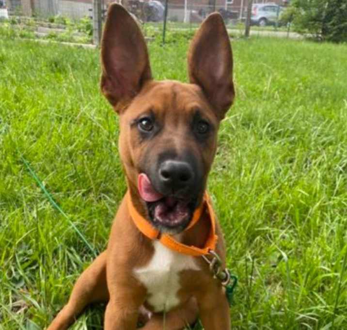 Photo of Axel