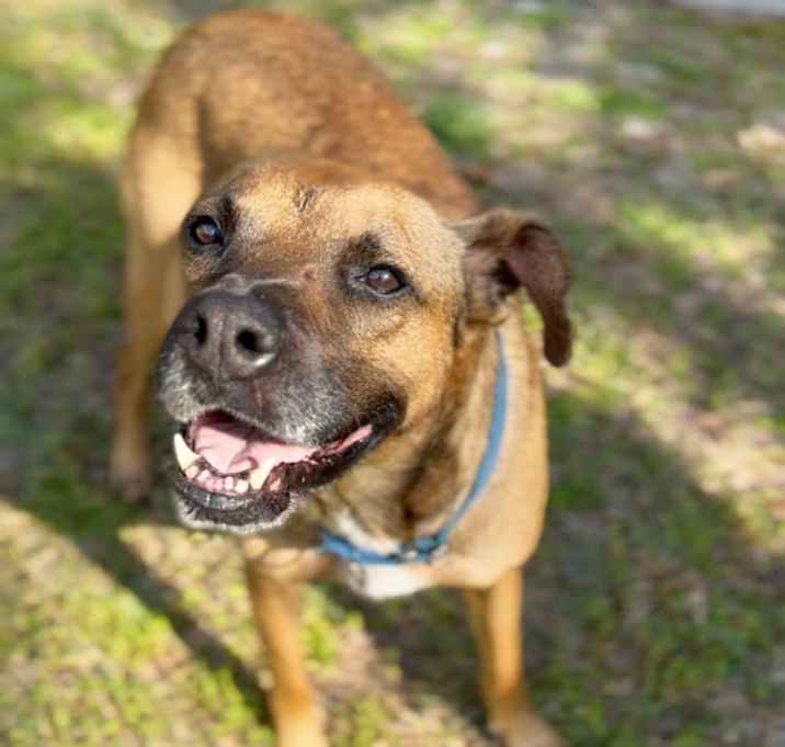Photo of Hank