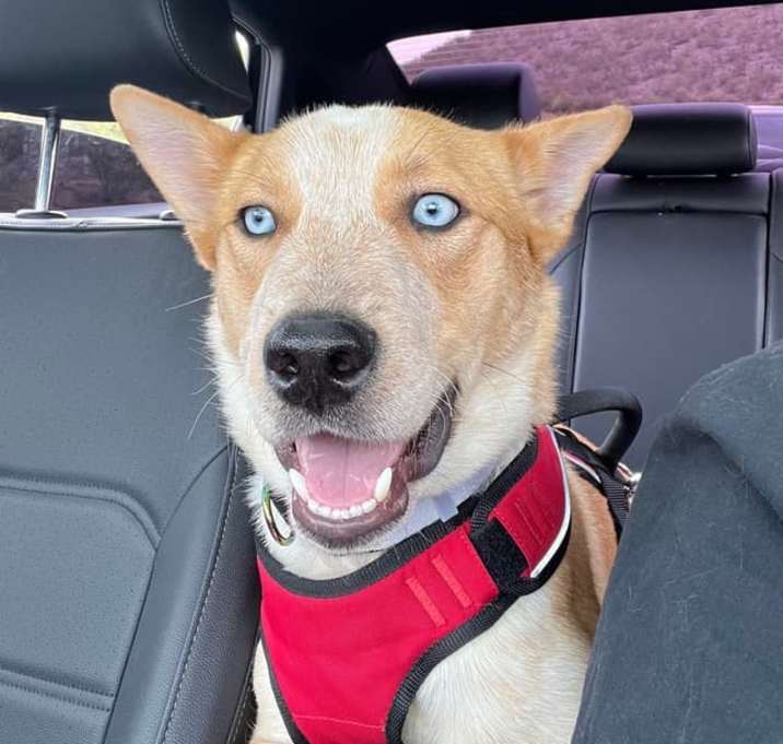 Photo of Murphy