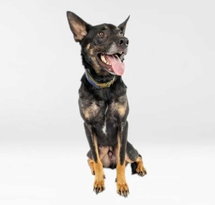 Photo of Hati