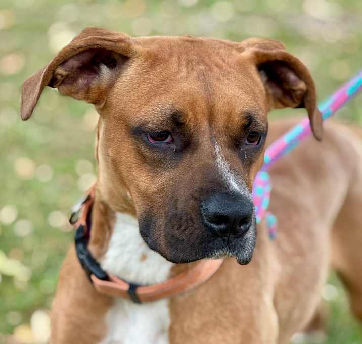 Photo of Sasha C000-235-Chino Hills Location