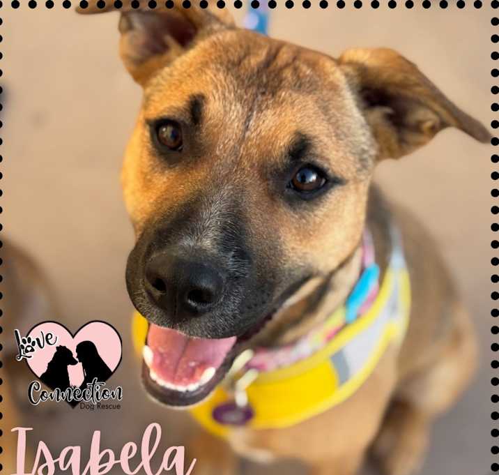 Photo of Isabela