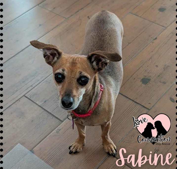 Photo of Sabine
