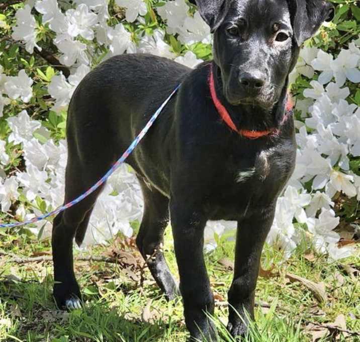 Photo of ROWDY